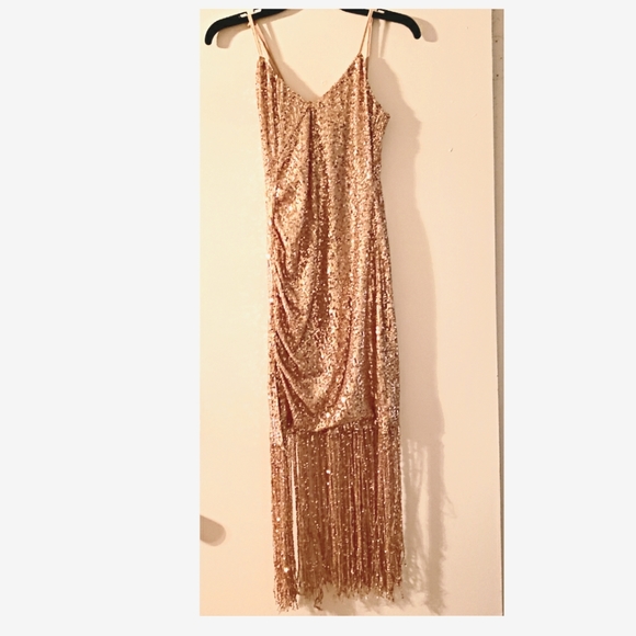 Source Unknown Dresses & Skirts - Fringed Sequin Rouched Dress NWOT M and S